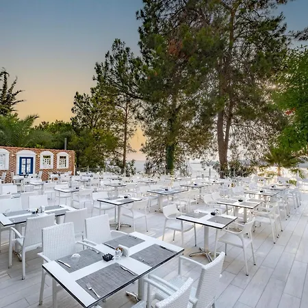 Utopia Club